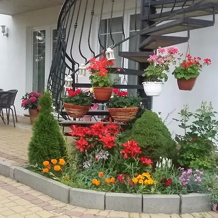 Otylka * Wiselka